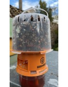 PIEGES A FRELONS ASIATIQUES