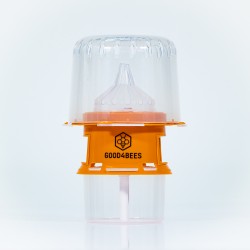 PIEGE A FRELON ASIATIQUE...